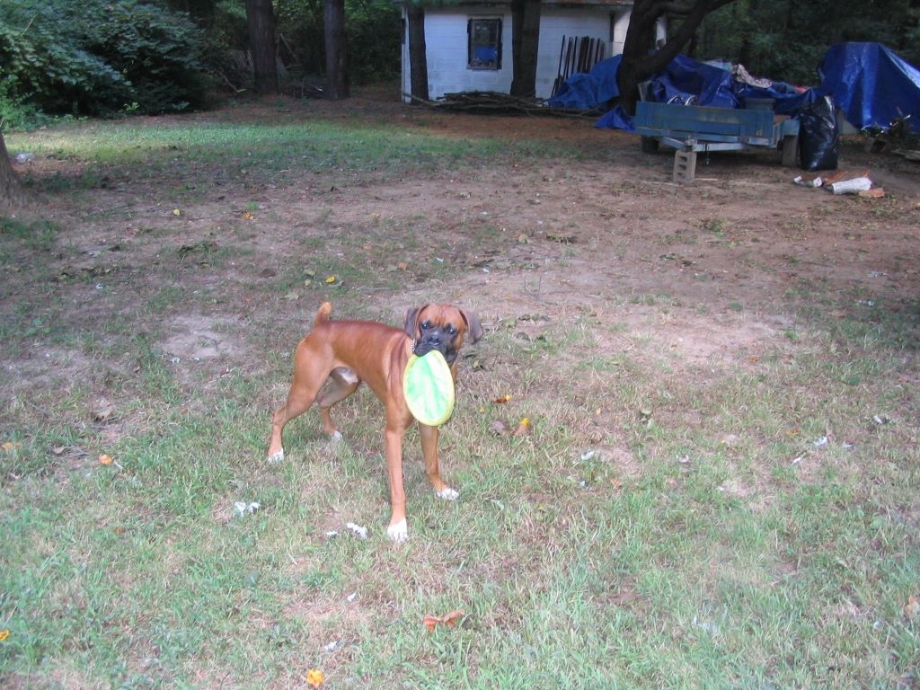img_1924.jpg